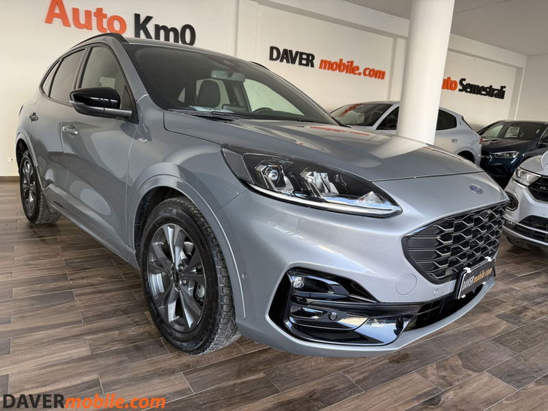 Ford Kuga 2.0 EcoBlue Hybrid 150 CV 2WD ST-Line X