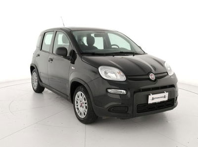 Fiat Panda 1.0 firefly hybrid s&s 70cv 5p.ti usata