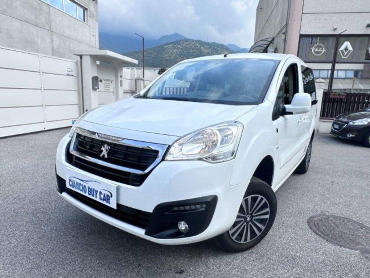 Peugeot Partner BlueHDi 100 4x4 Active Traction Control