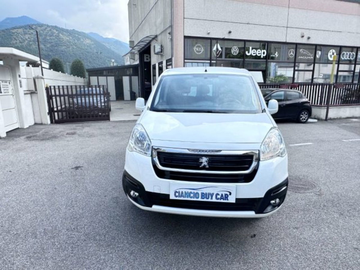 Peugeot Partner BlueHDi 100 4x4 Active Traction Control (5)
