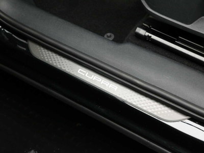 Cupra Terramar 1.5 hybrid 150cv dsg (16)