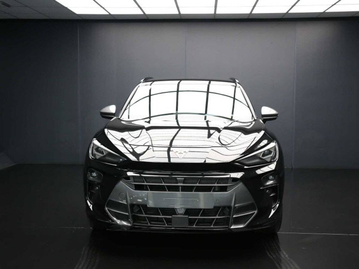 Cupra Terramar 1.5 hybrid 150cv dsg (2)