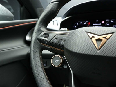 Cupra Terramar 1.5 hybrid 150cv dsg (20)