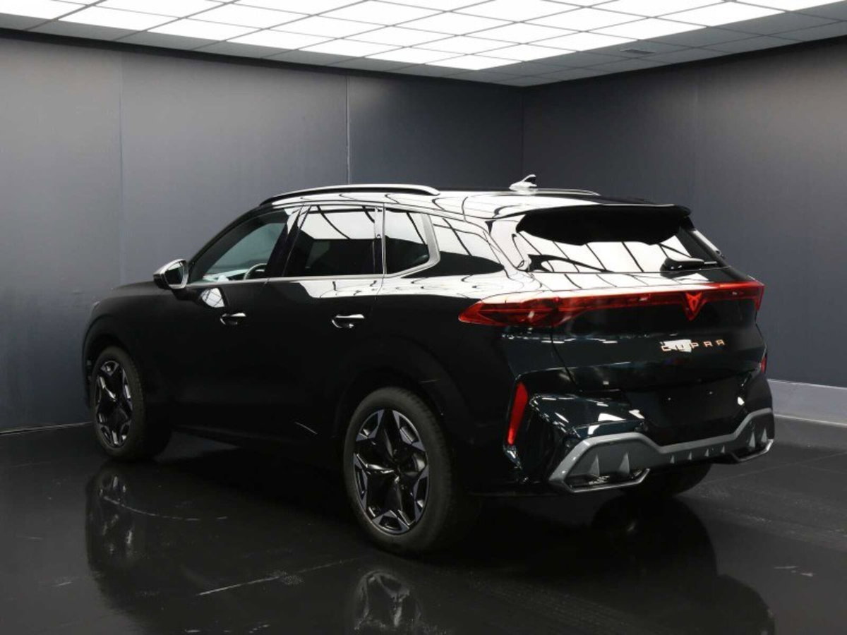 Cupra Terramar 1.5 hybrid 150cv dsg (6)