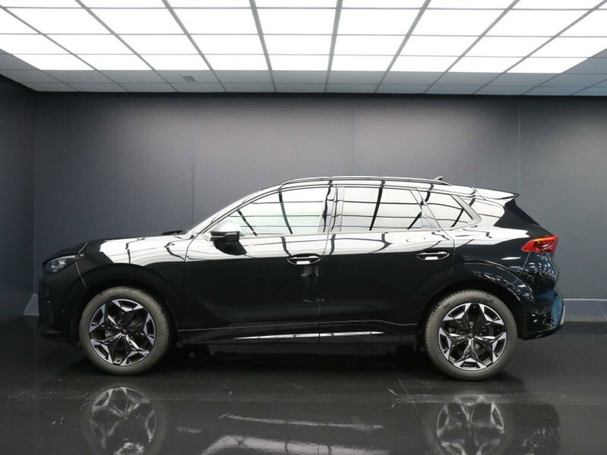 Cupra Terramar 1.5 hybrid 150cv dsg (7)