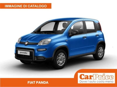 Fiat Panda 1.0 firefly hybrid s&s 70cv 5p.ti nuova