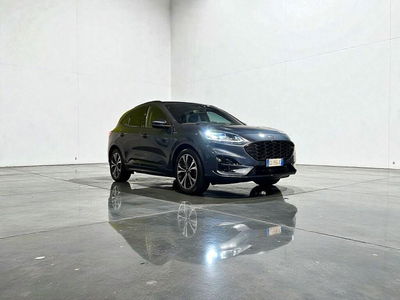 Ford Kuga 2.5 Full Hybrid 190 CV CVT 2WD ST-Line X usata