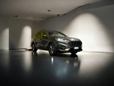 Ford Kuga 1.5 EcoBlue 120 CV 2WD ST-Line usata