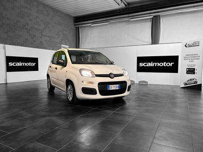 Fiat Panda Cross Cross 1.0 FireFly S&S Hybrid usata