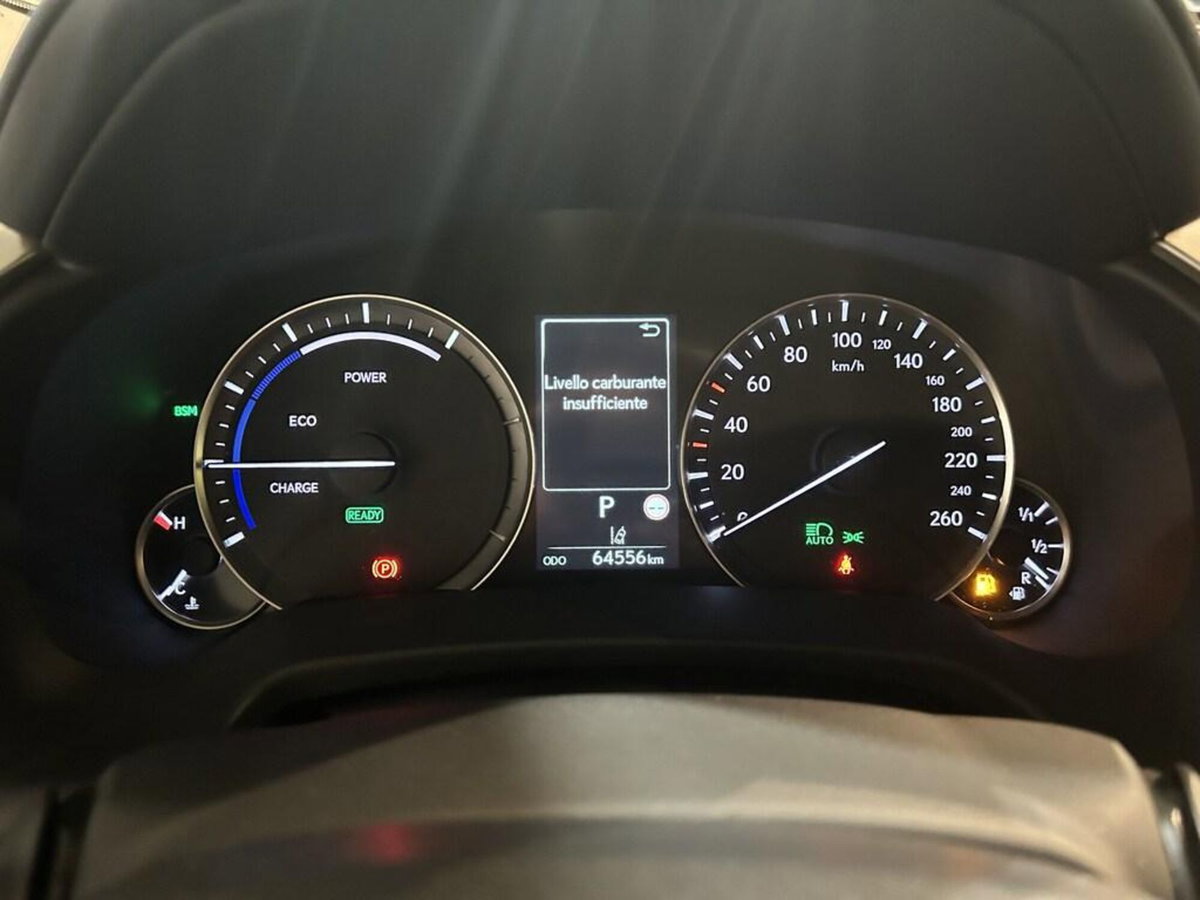 Lexus RX L Hybrid Executive (11)