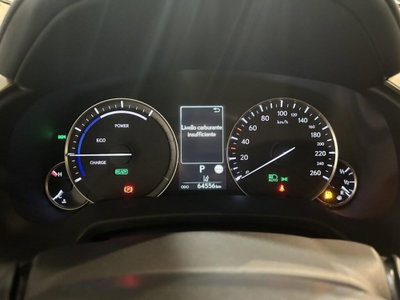 Lexus RX Hybrid Executive (11)