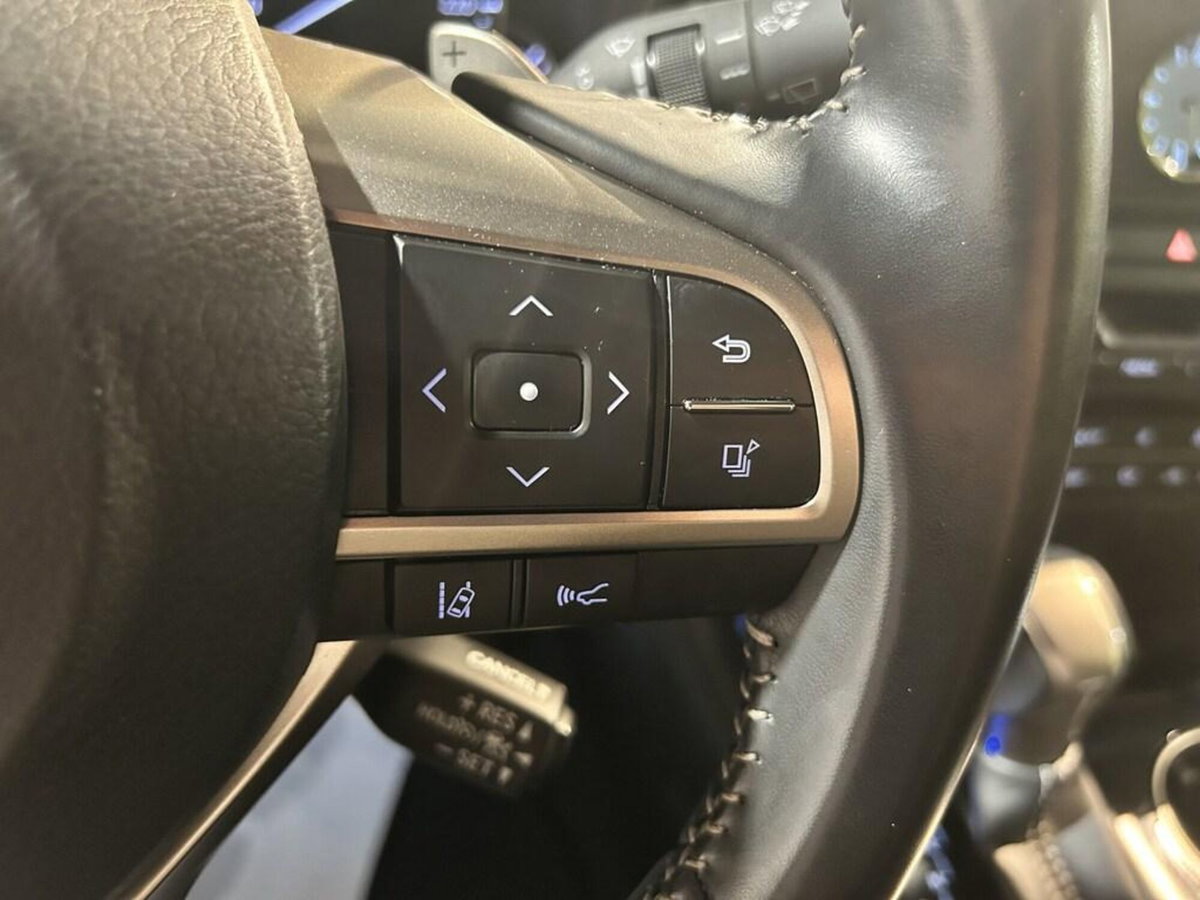Lexus RX L Hybrid Executive (15)