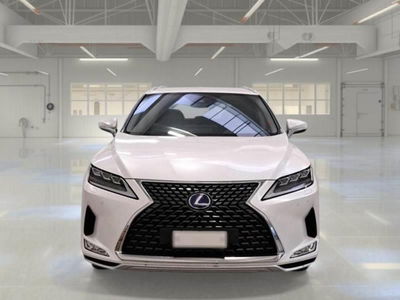 Lexus RX Hybrid Executive usata