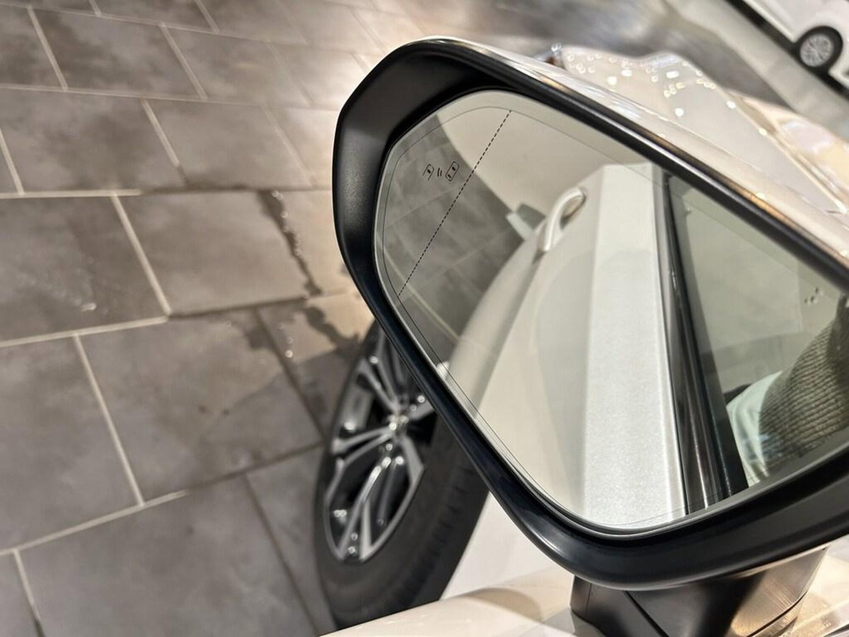 Lexus RX L Hybrid Executive (6)