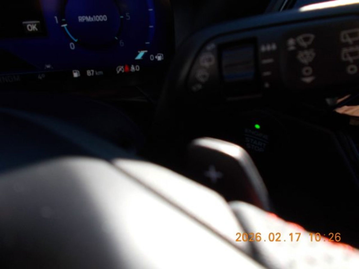Ford Kuga 1.5 EcoBlue 120 CV 2WD ST-Line (17)