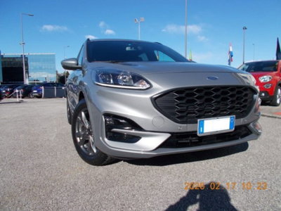 Ford Kuga 1.5 EcoBlue 120 CV 2WD ST-Line (3)