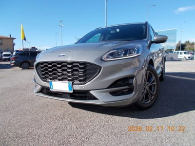Ford Kuga 1.5 EcoBlue 120 CV 2WD ST-Line (4)