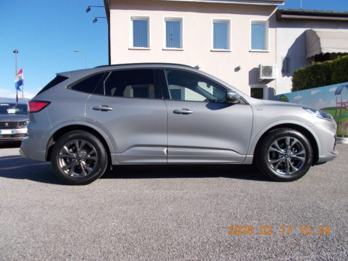 Ford Kuga 1.5 EcoBlue 120 CV 2WD ST-Line (5)