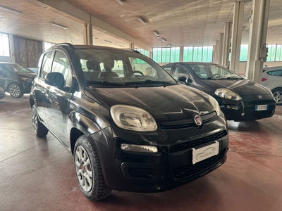 Fiat Panda 0.9 TwinAir Turbo Natural Power Easy usata