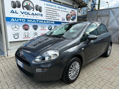 Fiat Punto 1.2 8V 5 porte Street usata