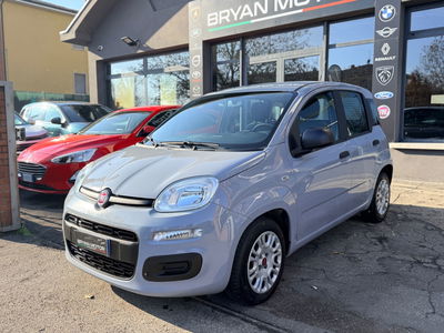 Fiat Panda 1.0 FireFly S&S Hybrid City Cross usata