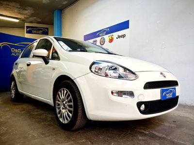 Fiat Punto 1.2 8V 5 porte Street usata