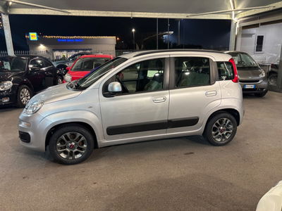 Fiat Panda 1.2 Lounge usata