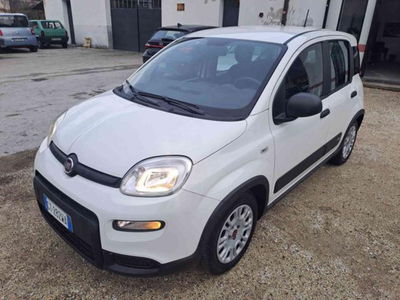 Fiat Panda 1.0 firefly hybrid s&s 70cv 5p.ti usata