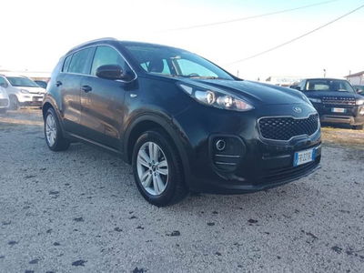 Kia Sportage 1.6 GDI 2WD Active usata