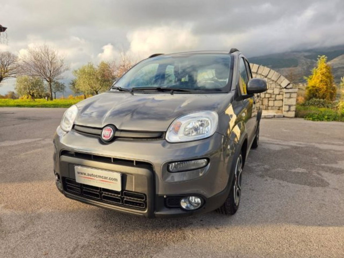 Fiat Panda 1.0 firefly hybrid s&s 70cv 5p.ti (12)