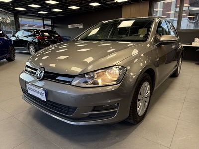 Volkswagen Golf 1.4 TGI DSG 5p. Executive BlueMotion usata