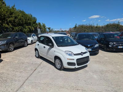 Fiat Panda 1.0 firefly hybrid s&s 70cv 5p.ti usata