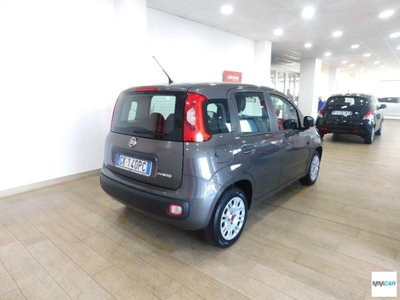 Fiat Panda 1.0 FireFly S&S Hybrid City Cross (3)