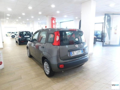 Fiat Panda 1.0 FireFly S&S Hybrid City Cross (4)