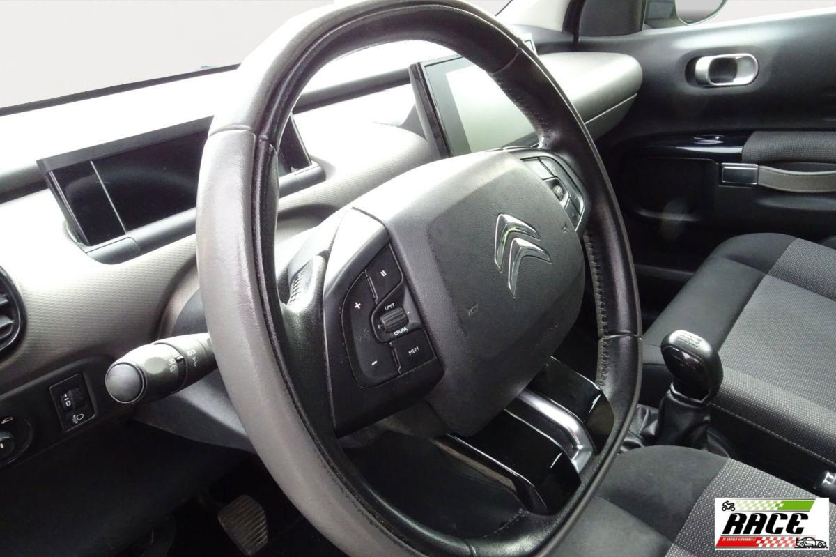 Citroen C4 Cactus BlueHDi 100 Shine (10)