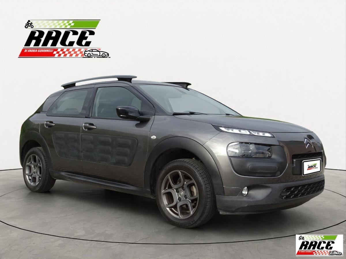 Citroen C4 Cactus BlueHDi 100 Shine (3)