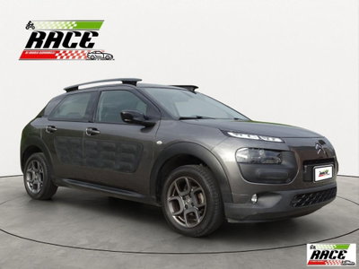 Citroen C4 Cactus BlueHDi 100 Shine (3)