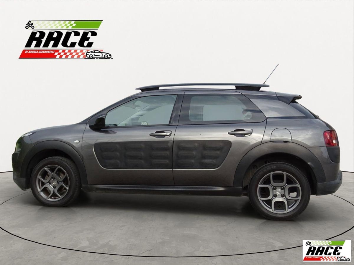 Citroen C4 Cactus BlueHDi 100 Shine (4)