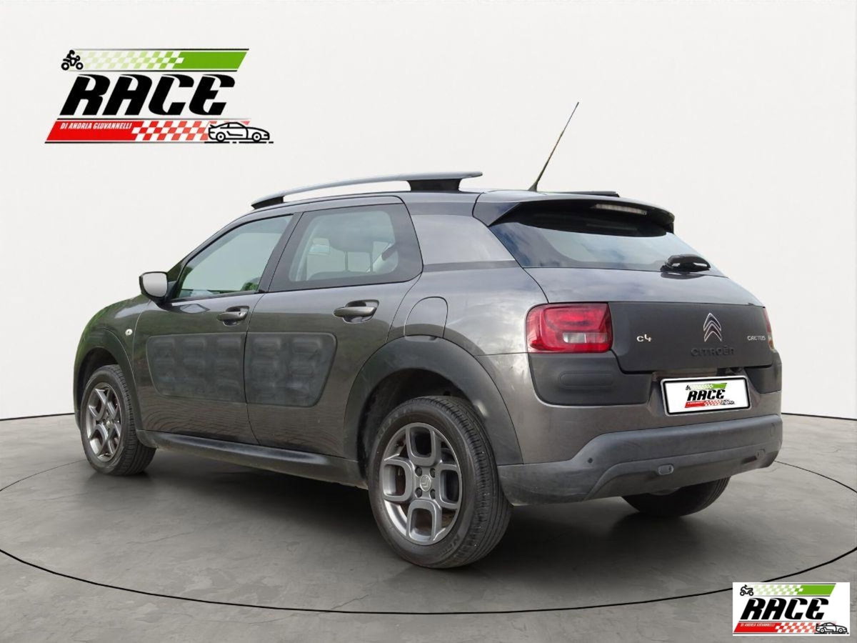 Citroen C4 Cactus BlueHDi 100 Shine (5)