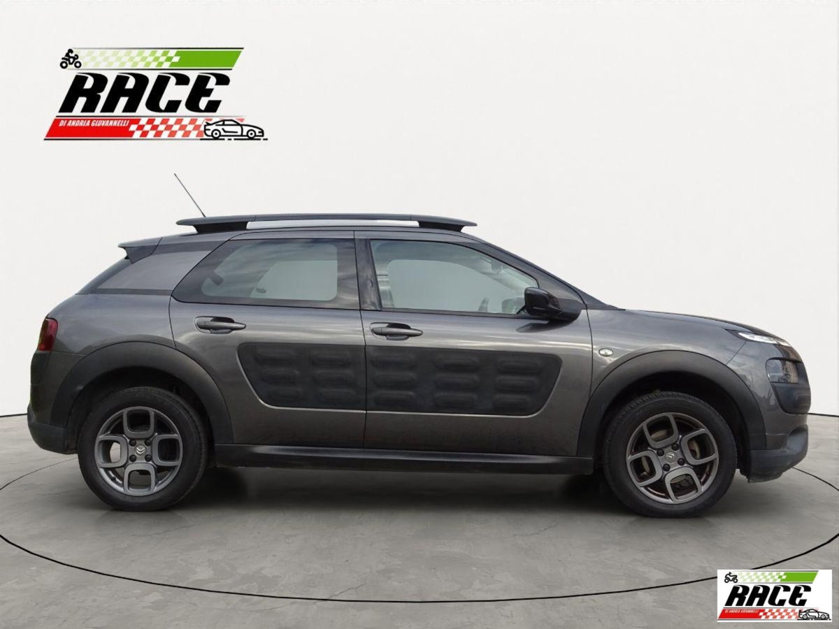 Citroen C4 Cactus BlueHDi 100 Shine (8)