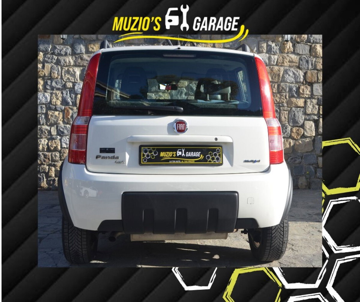 Fiat Panda 1.3 MJT 16V 4x4 (4)