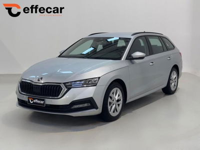 Skoda Octavia Station Wagon 2.0 TDI EVO SCR 150 CV DSG 4x4 Wagon Executive usata