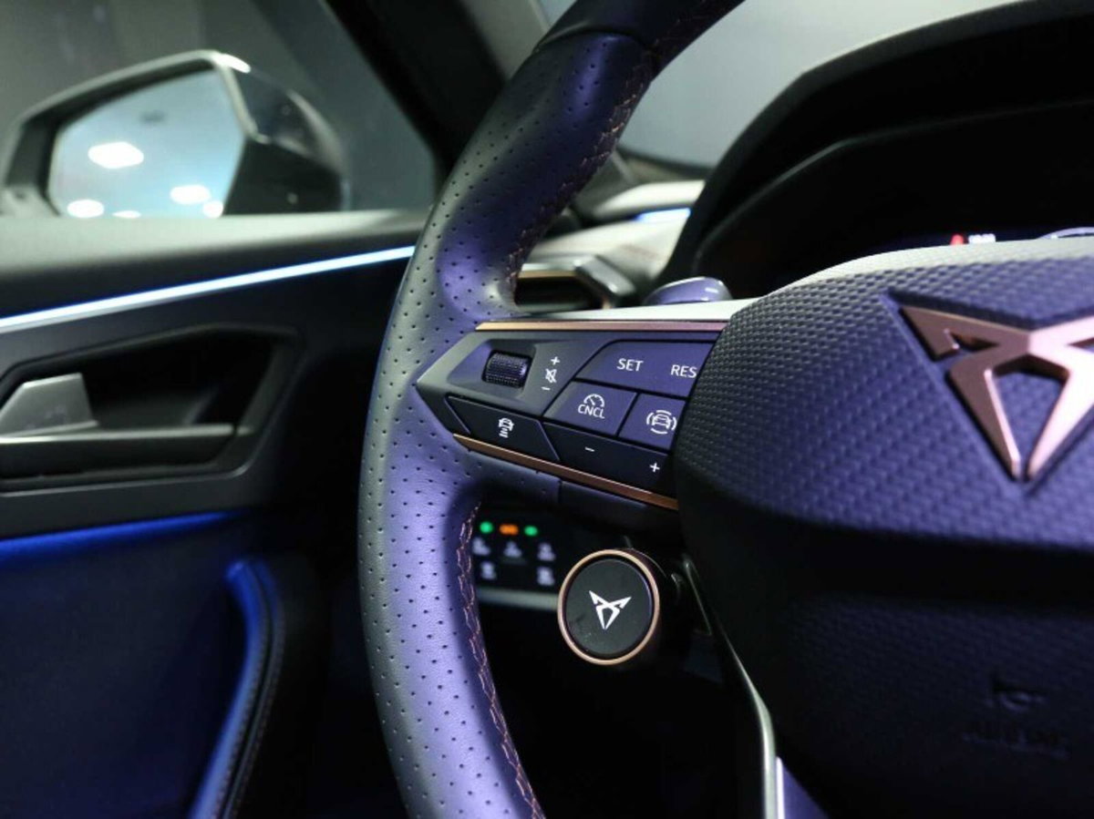 Cupra Formentor 1.5 hybrid 150cv dsg (19)