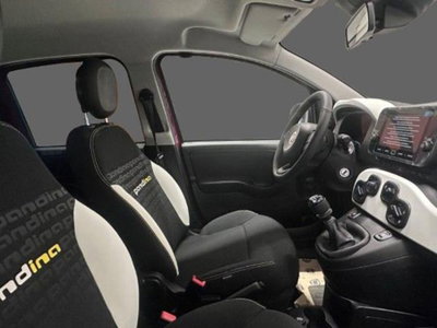 Fiat Pandina 1.0 firefly hybrid s&s 70cv (3)