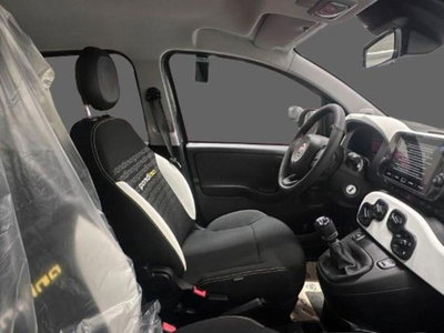 Fiat Pandina 1.0 firefly hybrid s&s 70cv (3)