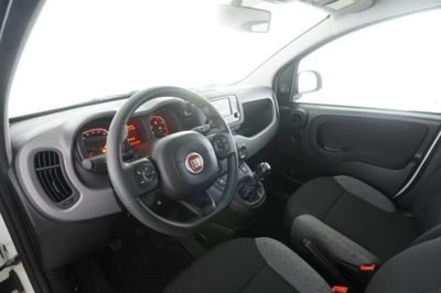 Fiat Panda 1.0 FireFly S&S Hybrid City Cross usata