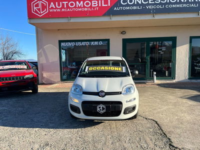 Fiat Panda 1.2 Pop usata