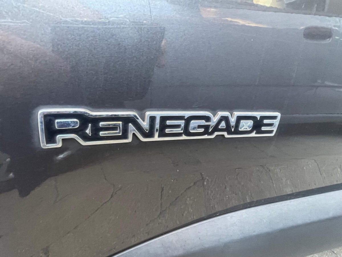 Jeep Renegade 1.4 MultiAir 170CV 4WD Active Drive Limited (13)