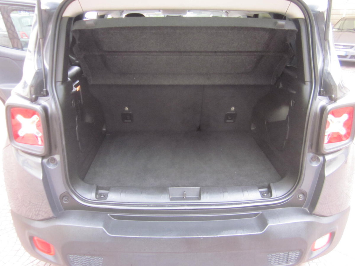 Jeep Renegade 1.5 Turbo T4 MHEV Limited (14)