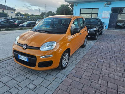 Fiat Panda Cross Cross 1.0 FireFly S&S Hybrid usata